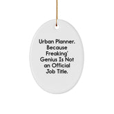 Urban Planner Oval Ornament Funny Quote Gifts from Friends and Family for Christmas - Image 1